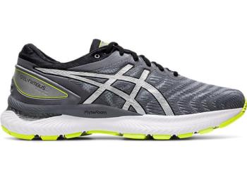 Asics Erkek GEL-NIMBUS 22 LITE-SHOW Koşu Ayakkabısı TR490EG